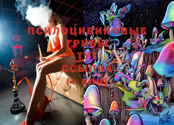 гашиш Богородицк