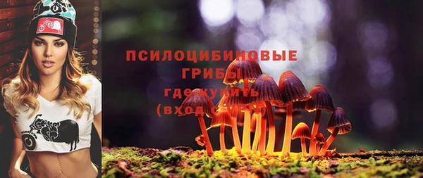 соль курить ск Богородск