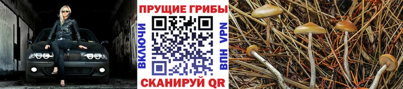 Галлюциногенные грибы ЛСД  наркота  Голицыно 